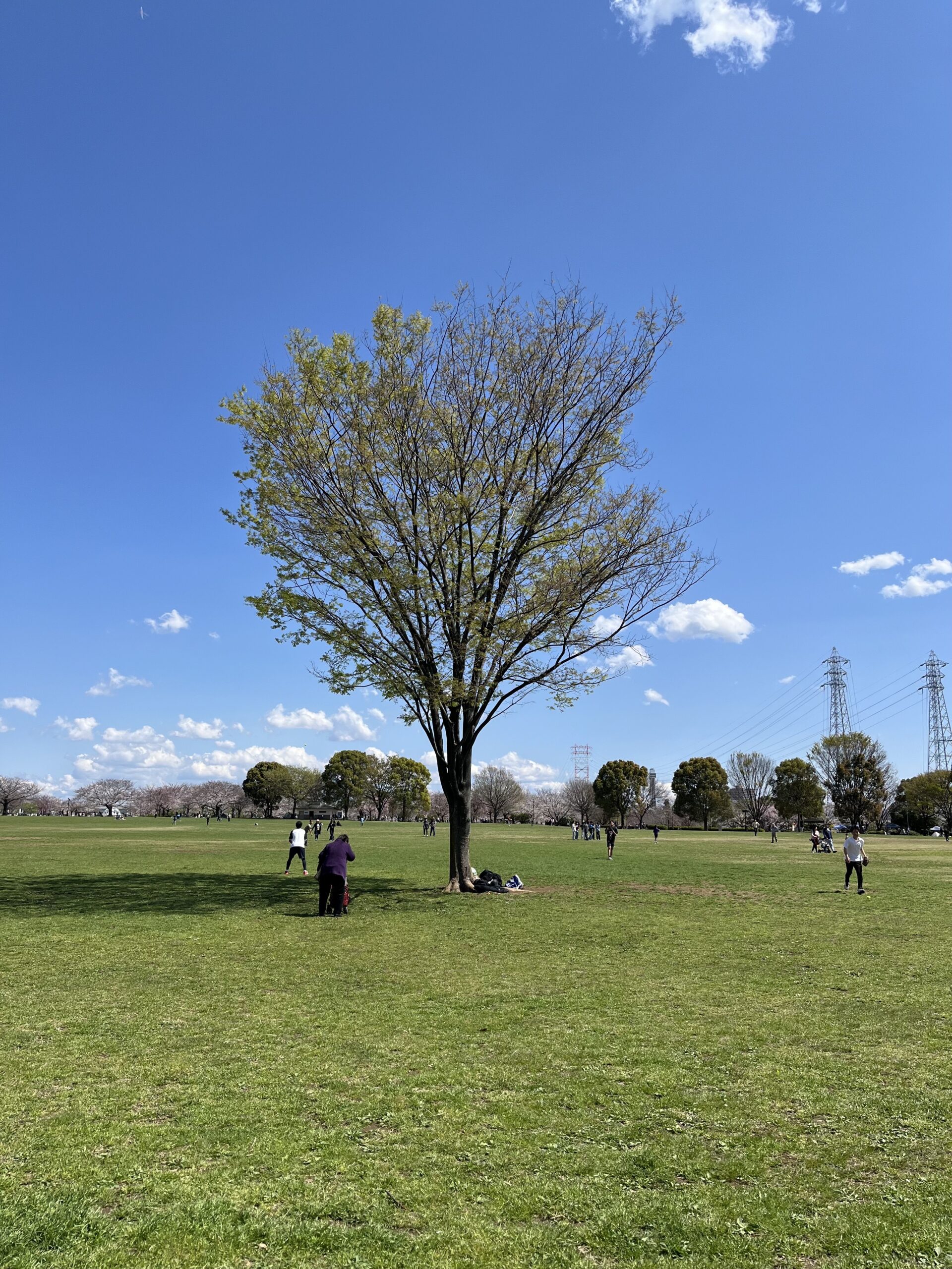 4/4のBigTree（大島小松川公園）